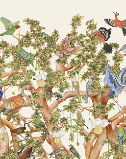 Обои Cole & Son Ardmore Baobab 129/1002