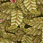 Обои Cole & Son Ardmore Baobab 129/4014