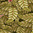 Обои Cole & Son Ardmore Baobab 129/4014