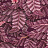 Обои Cole & Son Ardmore Baobab 129/4016