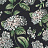 Обои Cole & Son Fornasetti Senza Tempo II 123/8038