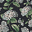 Обои Cole & Son Fornasetti Senza Tempo II 123/8038