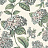 Обои Cole & Son Fornasetti Senza Tempo II 123/8039