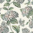 Обои Cole & Son Fornasetti Senza Tempo II 123/8039