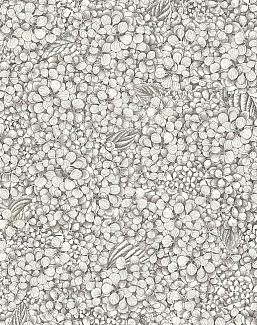 Обои Cole & Son Fornasetti Senza Tempo II 123/9043