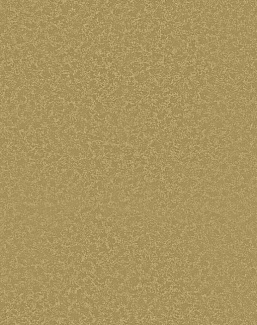 Обои Omexco Mirari MIR807