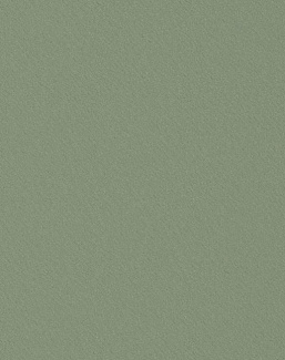Ткань Designers Guild Tiber Eco FDG3269/32