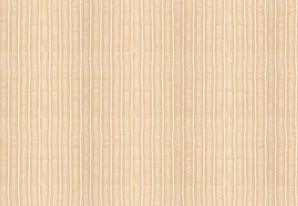Ткань Designers Guild Isere FDG3301/01