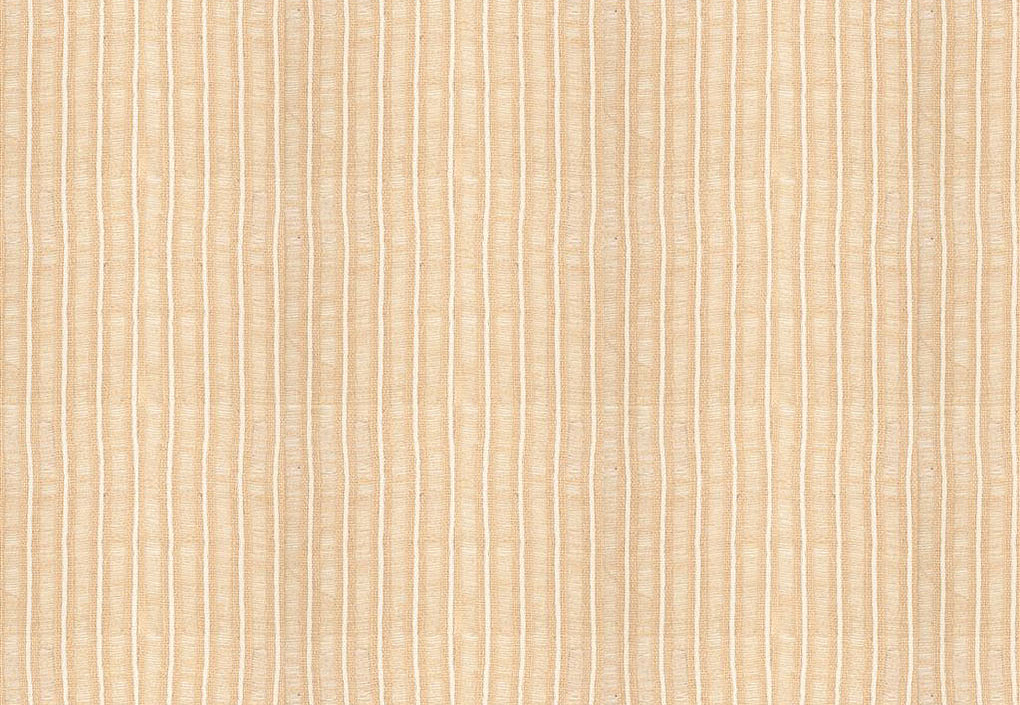 Ткань Designers Guild Isere FDG3301/01