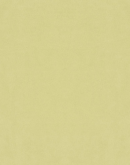 Ткань Designers Guild Bellagio FDG3277/08