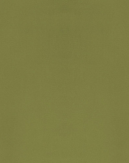 Ткань Designers Guild Bellagio FDG3277/09