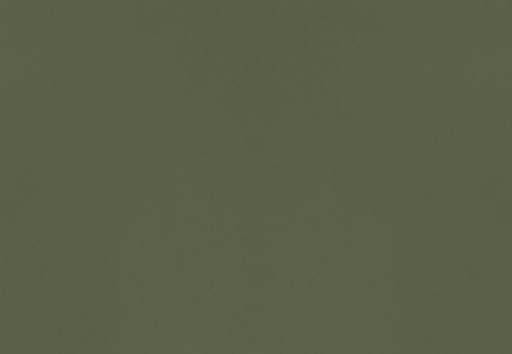 Ткань Designers Guild Bellagio FDG3277/10