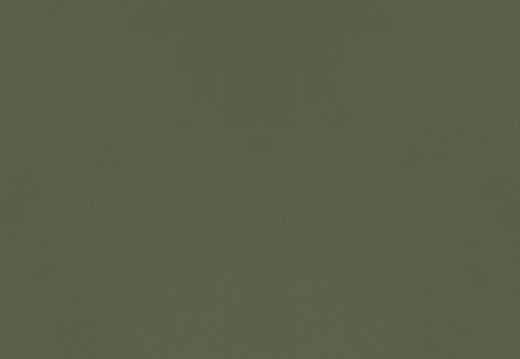 Ткань Designers Guild Bellagio FDG3277/10