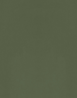 Ткань Designers Guild Bellagio FDG3277/10