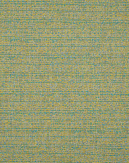 Ткань Jim Thompson Wild Wild Weaves JT01431006