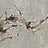 Панно и фотообои Faboie Silk Painting VI F-SN6111