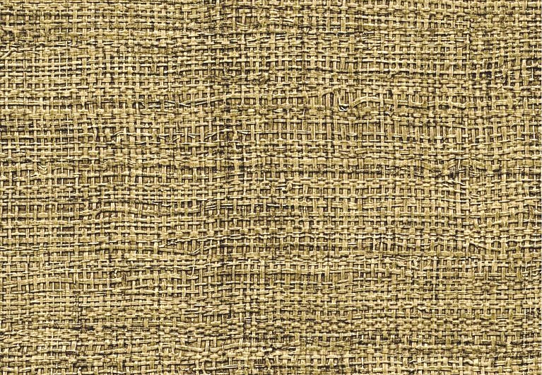 Обои Elitis Madagascar Arrowroot Raw Raffia VP73140