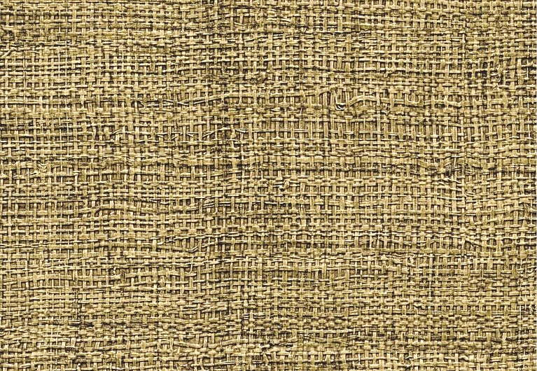 Обои Elitis Madagascar Arrowroot Raw Raffia VP73140
