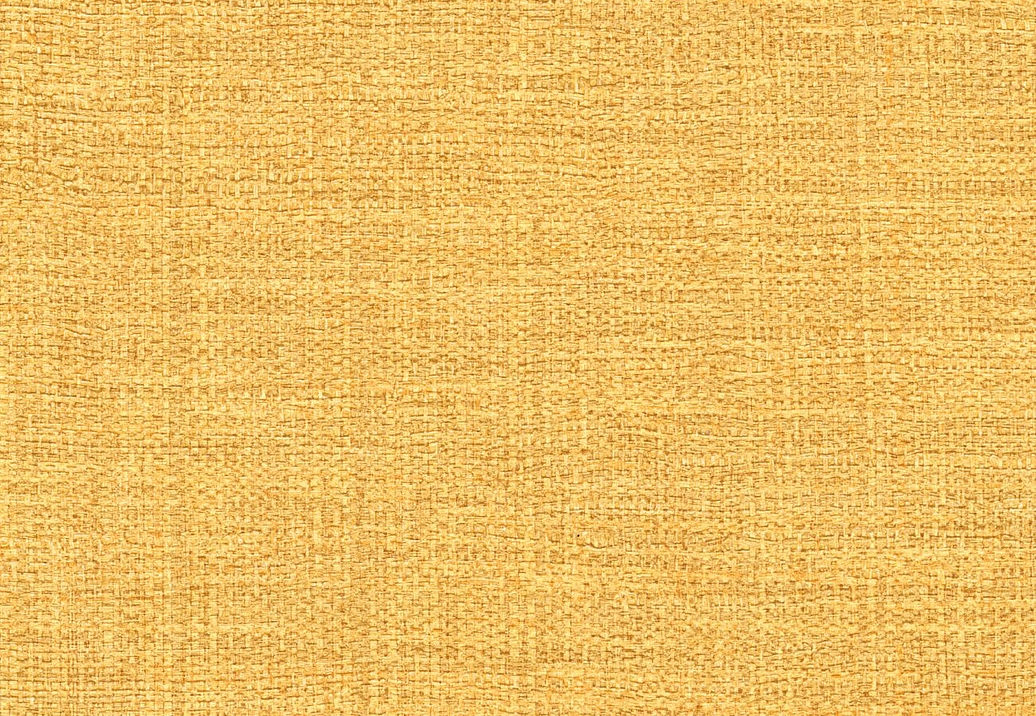 Обои Elitis Madagascar Arrowroot Raw Raffia VP73122