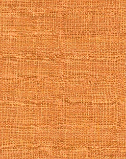 Обои Elitis Madagascar Arrowroot Raw Raffia VP73137