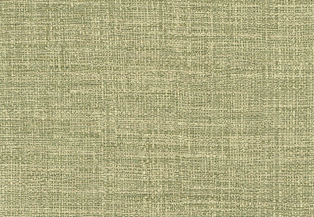 Обои Elitis Madagascar Arrowroot Raw Raffia VP73161