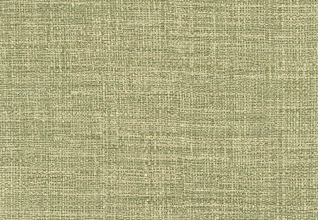 Обои Elitis Madagascar Arrowroot Raw Raffia VP73161