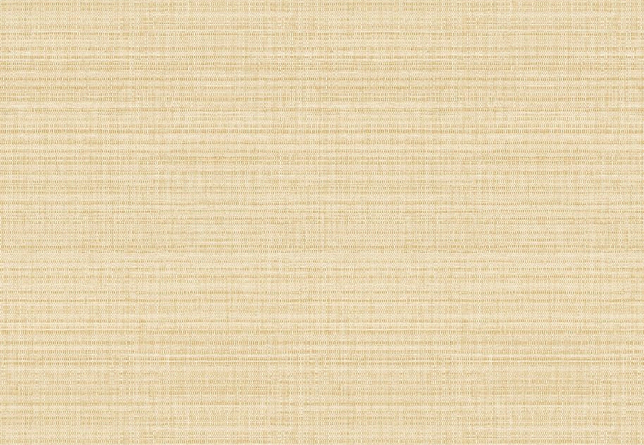 Обои Elitis Madagascar Arrowroot Raw Raffia VP104803