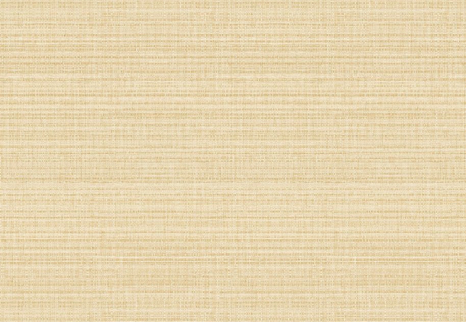 Обои Elitis Madagascar Arrowroot Raw Raffia VP104803