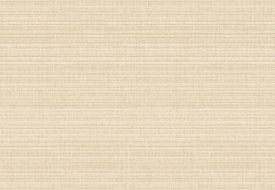 Обои Elitis Madagascar Arrowroot Raw Raffia VP104804