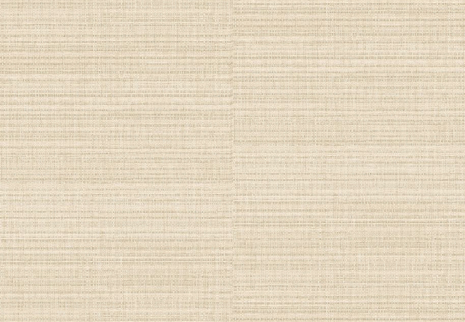 Обои Elitis Madagascar Arrowroot Raw Raffia VP104805