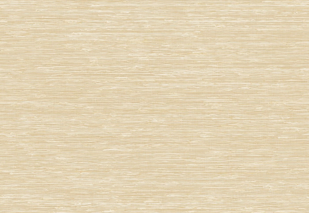 Обои Elitis Madagascar Arrowroot Raw Raffia VP105001