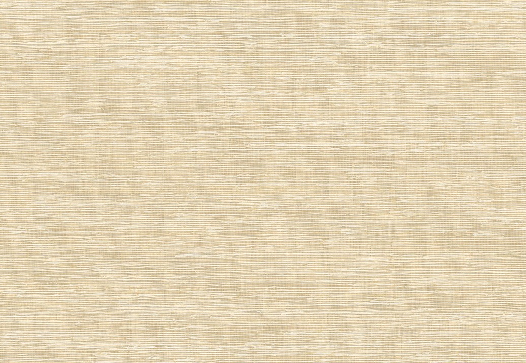 Обои Elitis Madagascar Arrowroot Raw Raffia VP105001