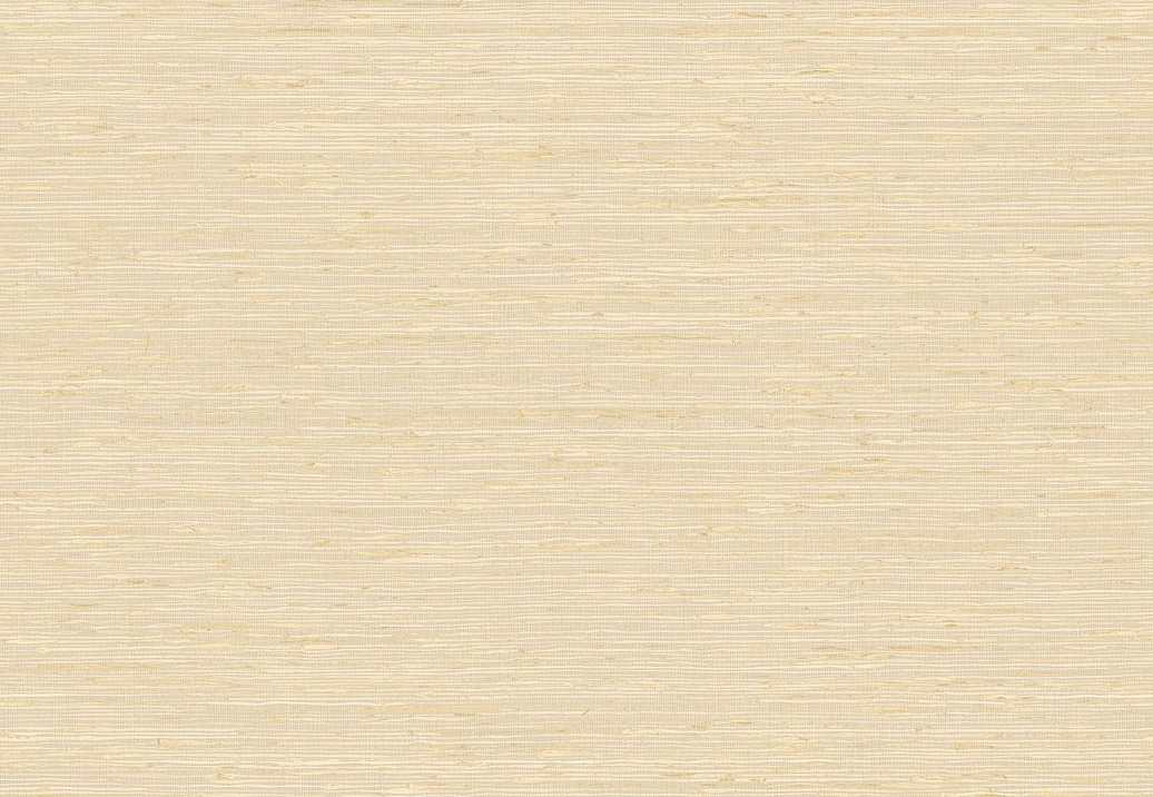 Обои Elitis Madagascar Arrowroot Raw Raffia VP105003