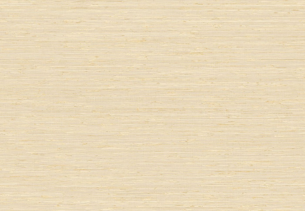 Обои Elitis Madagascar Arrowroot Raw Raffia VP105003