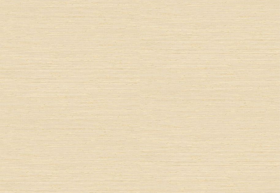 Обои Elitis Madagascar Arrowroot Raw Raffia VP105003