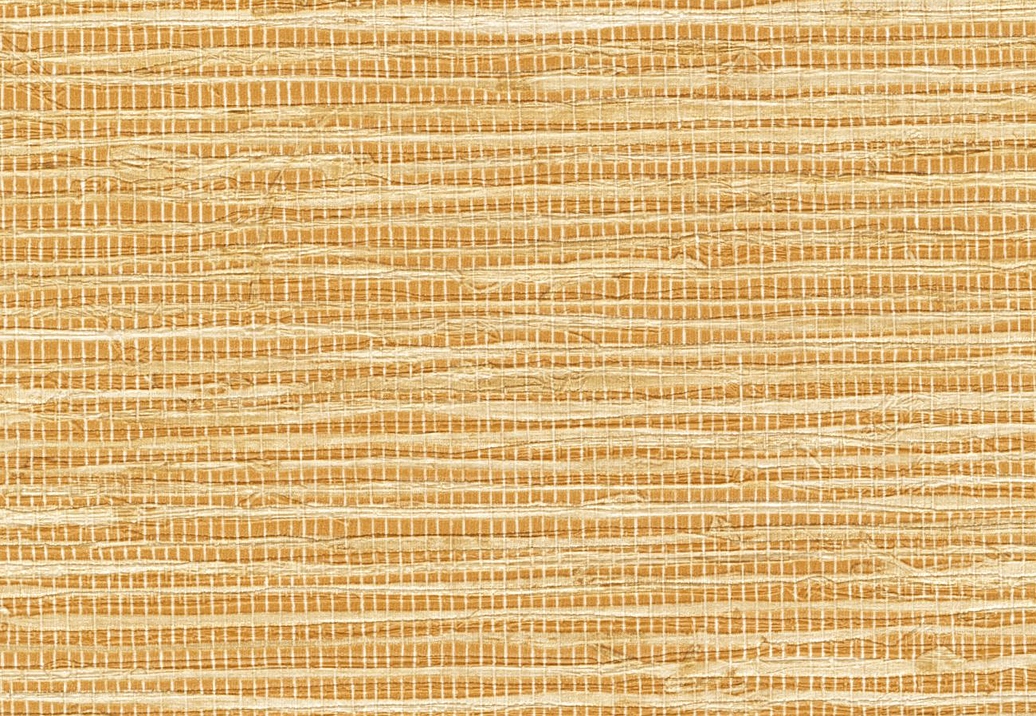 Обои Elitis Madagascar Arrowroot Raw Raffia VP105022