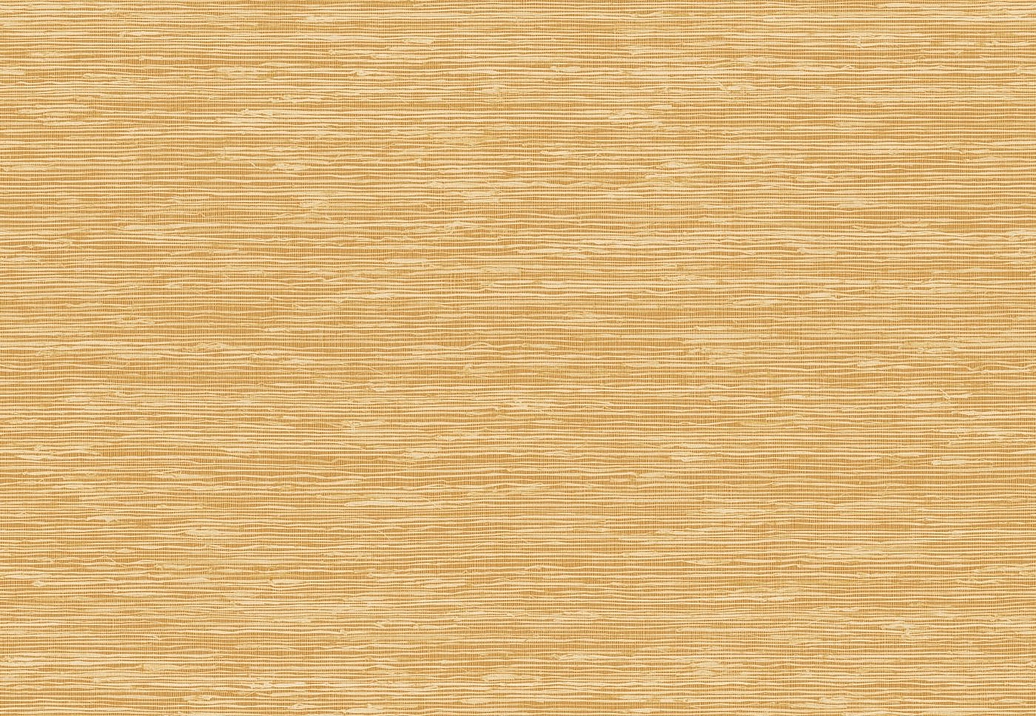 Обои Elitis Madagascar Arrowroot Raw Raffia VP105022