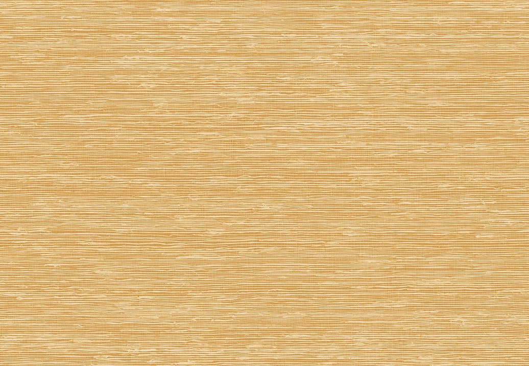 Обои Elitis Madagascar Arrowroot Raw Raffia VP105022