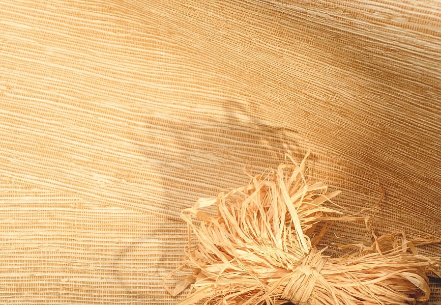 Обои Elitis Madagascar Arrowroot Raw Raffia VP105022