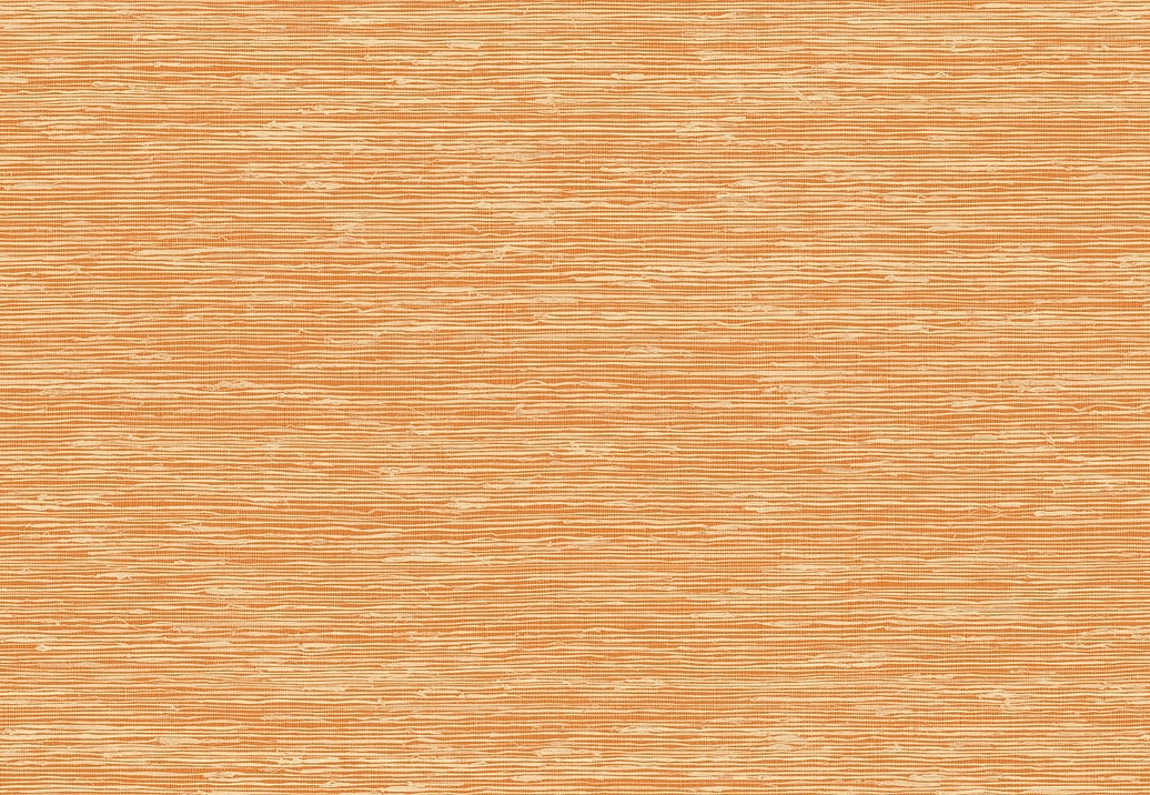 Обои Elitis Madagascar Arrowroot Raw Raffia VP105035