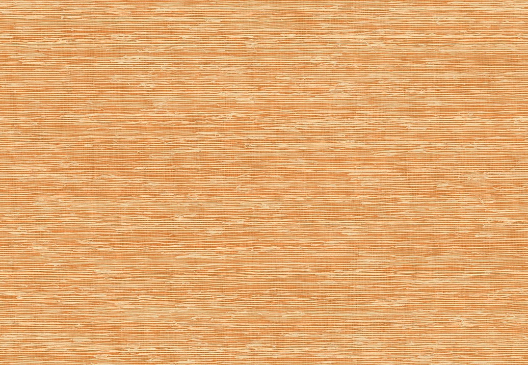 Обои Elitis Madagascar Arrowroot Raw Raffia VP105035