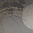 Обои Glamora Creative Collection GLXVI441A