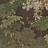 Обои Glamora Creative Collection GLXVI321A