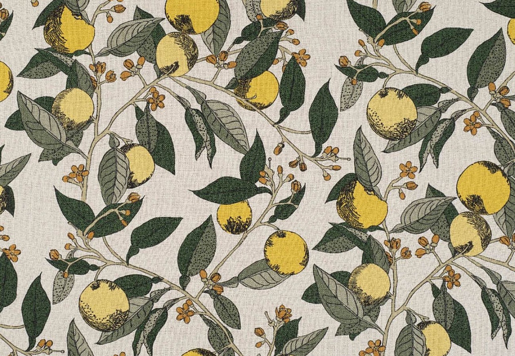 Ткань James Hare Orangery 8341/01