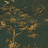 Ткань Lizzo Ancestry Ginkgo/03