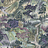 Обои Cole & Son Shinrin YOKU 126/11039