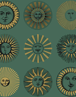 Обои Cole & Son Fornasetti Senza Tempo II 123/1005