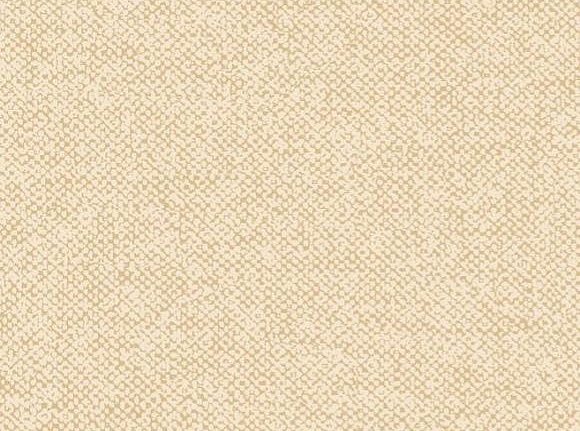Обои Arte Contract Wallcoverings 67904