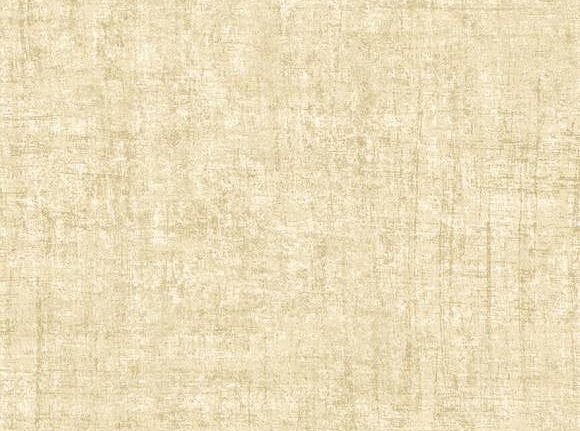Обои Arte Contract Wallcoverings 67934
