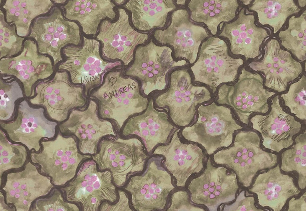 Обои Cole & Son Vivienne Westwood 130/6020